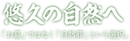 悠久の自然へ/「お墓」ではなく「自然葬」という選択。